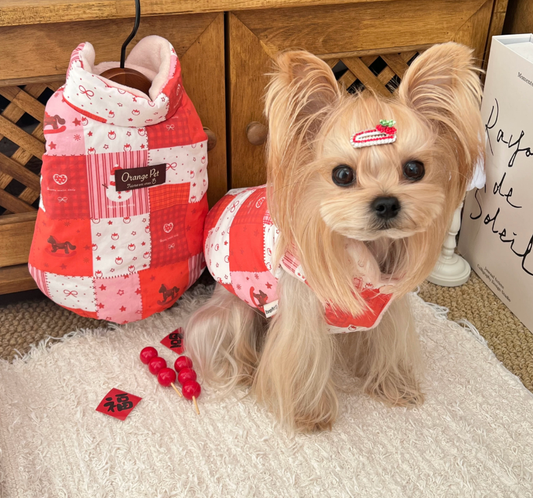 Christmas Reversible Pet Vest