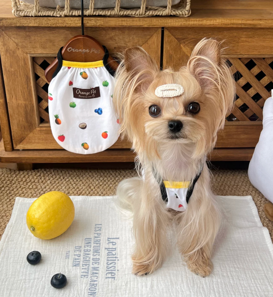 Fruit Print Pet Tank Top