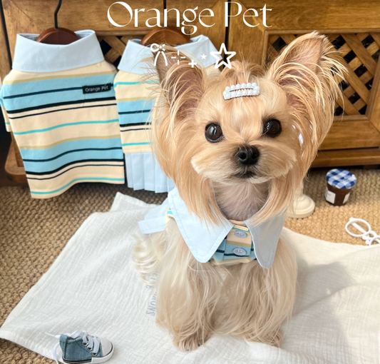 Blue Striped Pet Pleated Dress