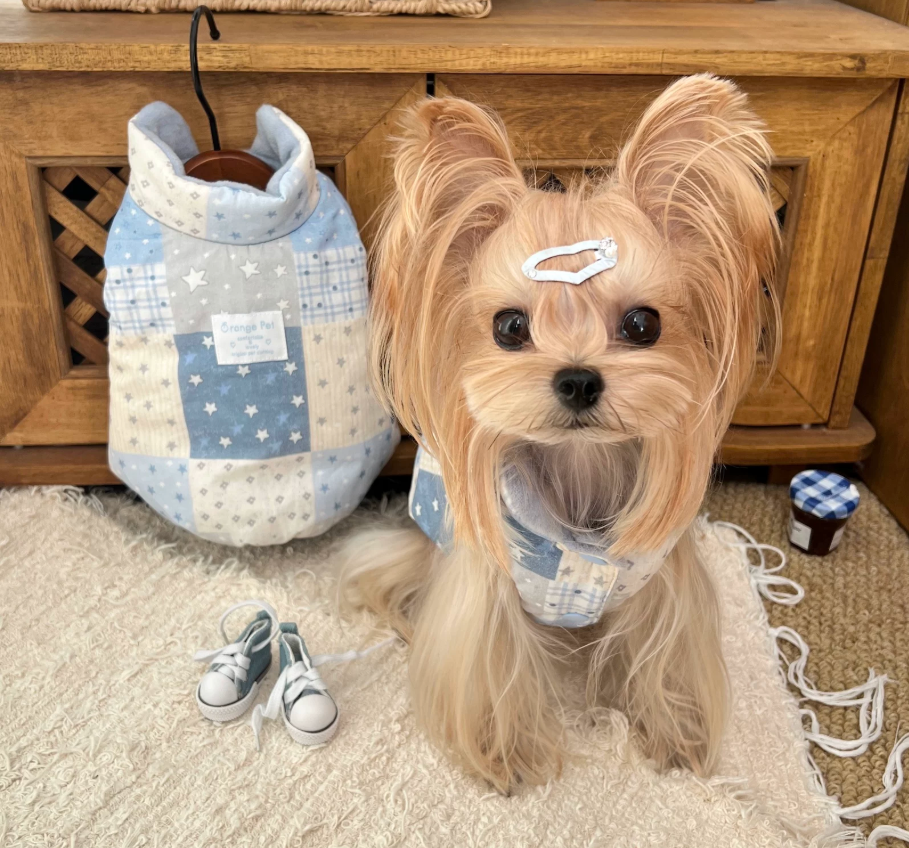 Reversible Star Patchwork Pet Vest