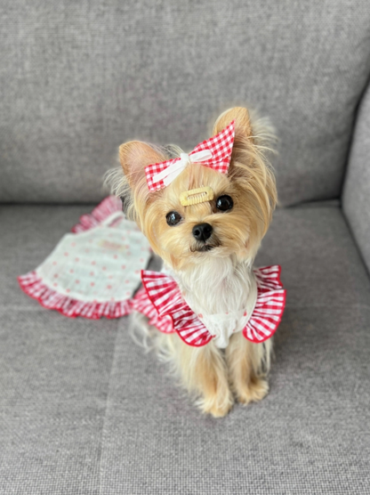 Heart Gingham Pet Dress