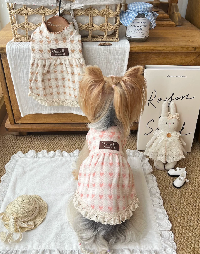 Heart Lace Pet Dress