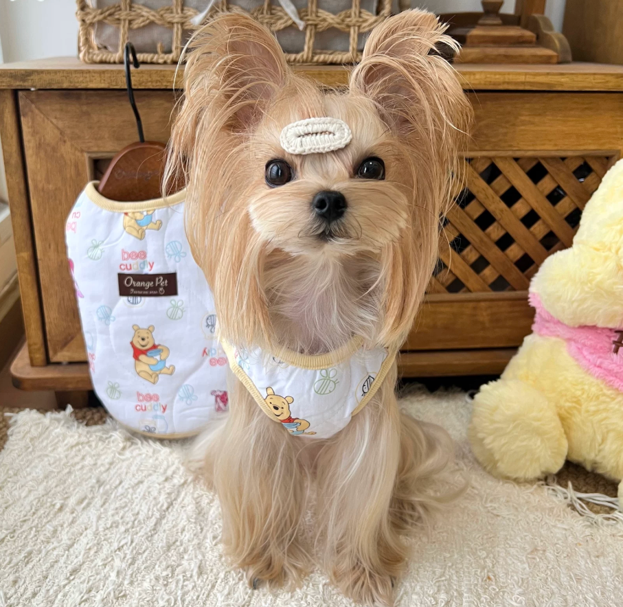 Bear Print Padded Pet Vest