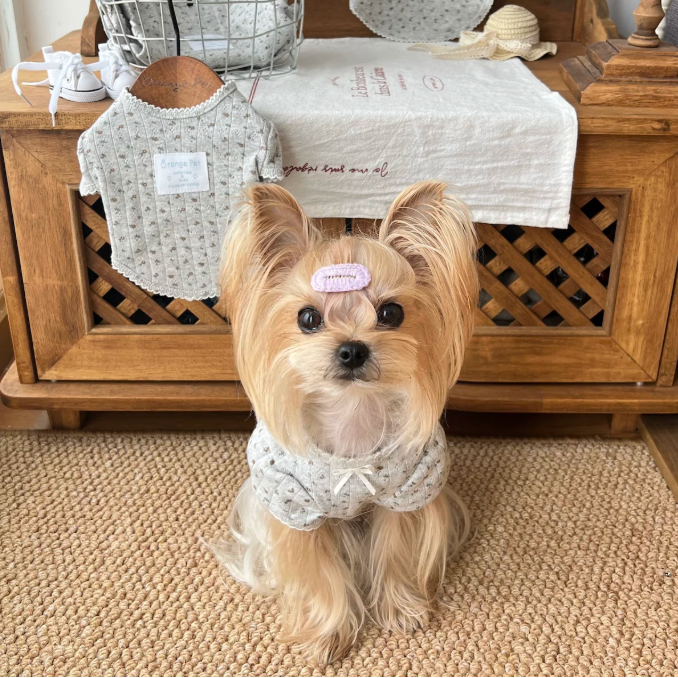 Vintage Floral Pet Top