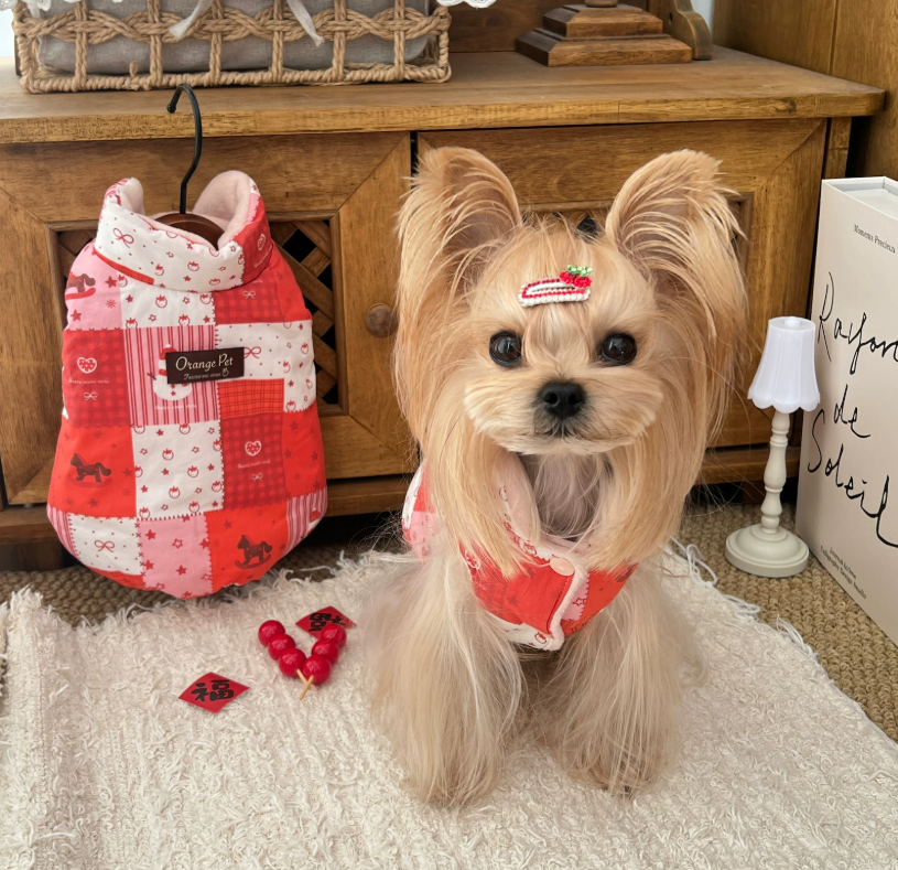 Christmas Reversible Pet Vest