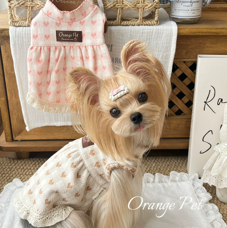 Heart Lace Pet Dress