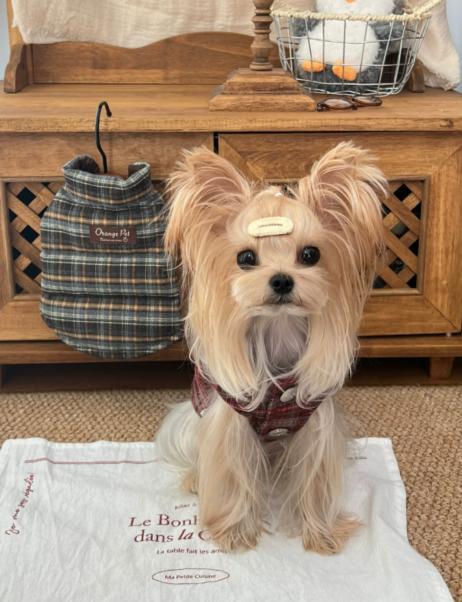 Plaid Winter Pet Vest