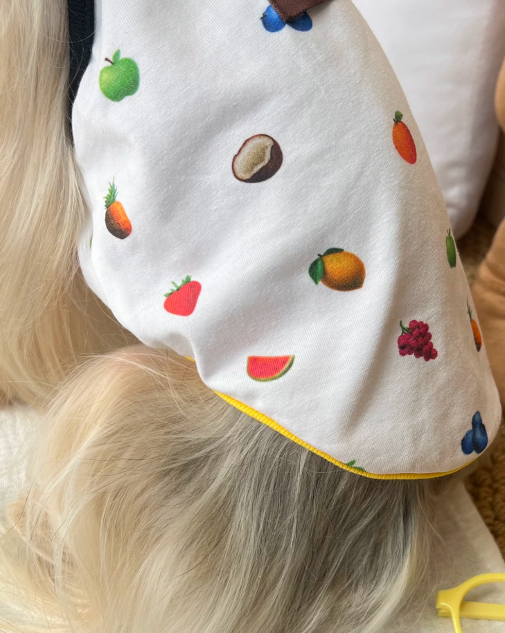Fruit Print Pet Tank Top