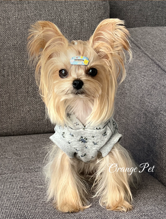 Floral Hooded Pet Vest