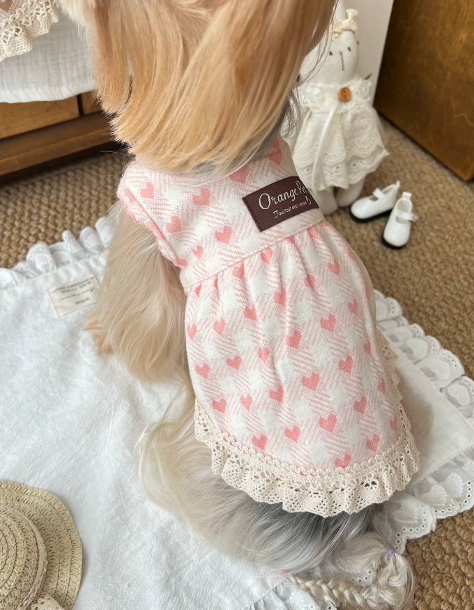 Heart Lace Pet Dress