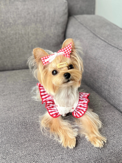 Heart Gingham Pet Dress