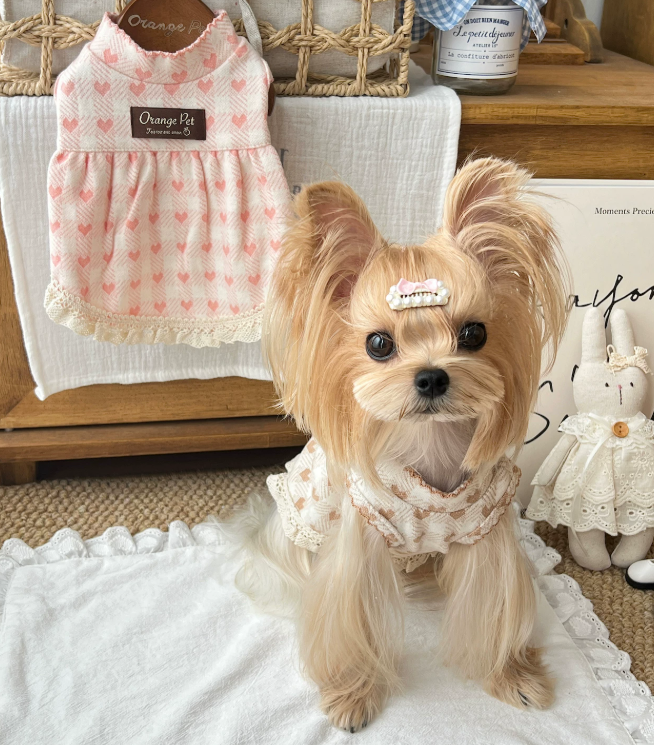 Heart Lace Pet Dress